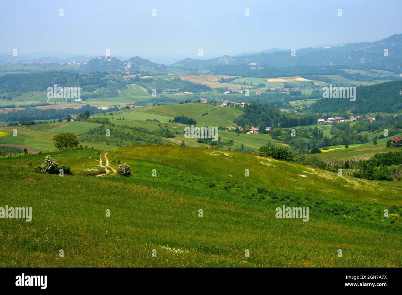 Paisaje rural en primavera en Piamonte cerca de Brignano y Serra del Monte, provincia de Alessandria, Piamonte, Italia Foto de stock