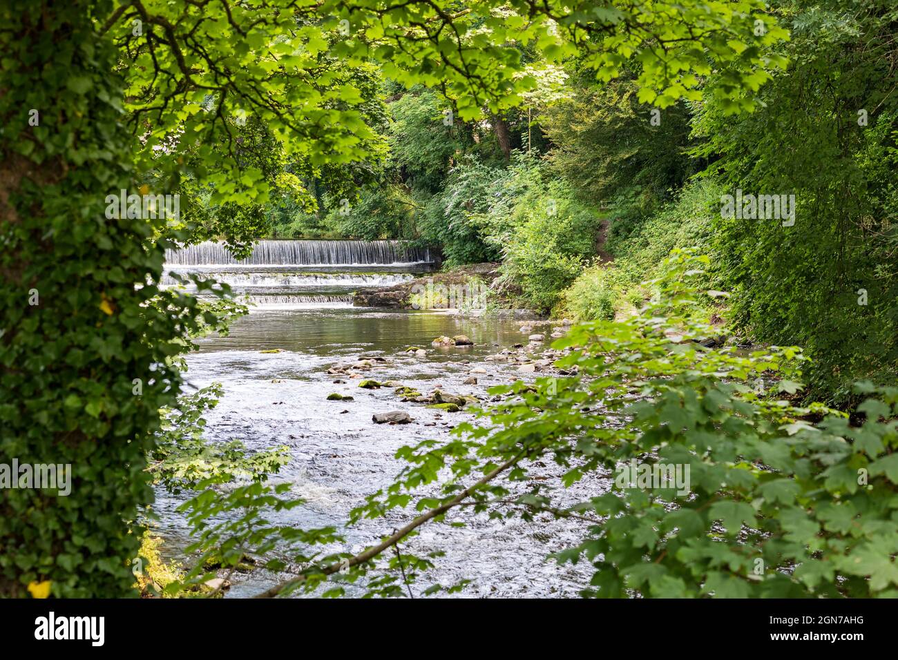 El río Tavy Tavistock Devon Foto de stock
