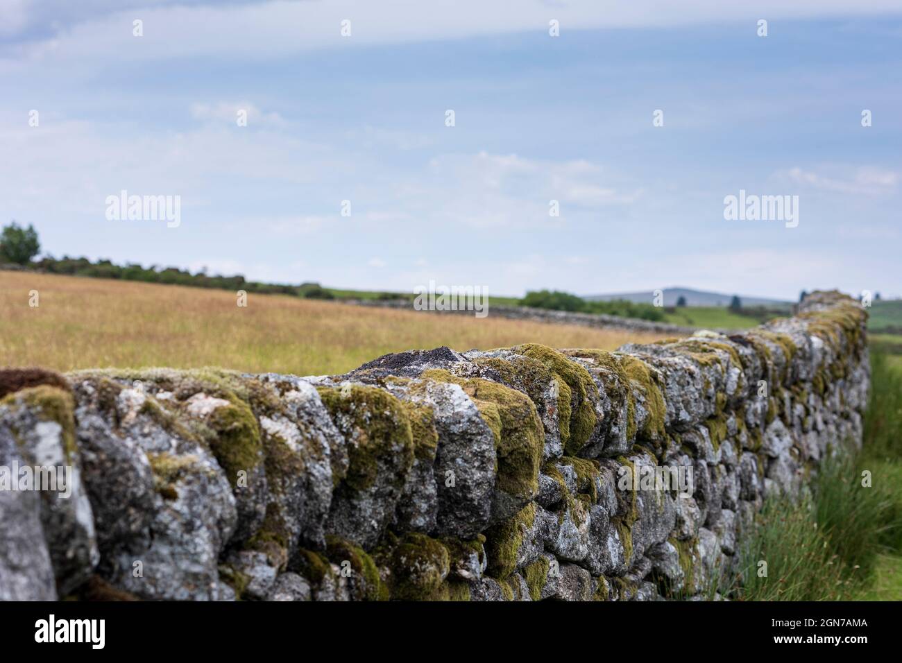 Tradicional pared de piedra seca Dartmoor Devon Inglaterra Foto de stock