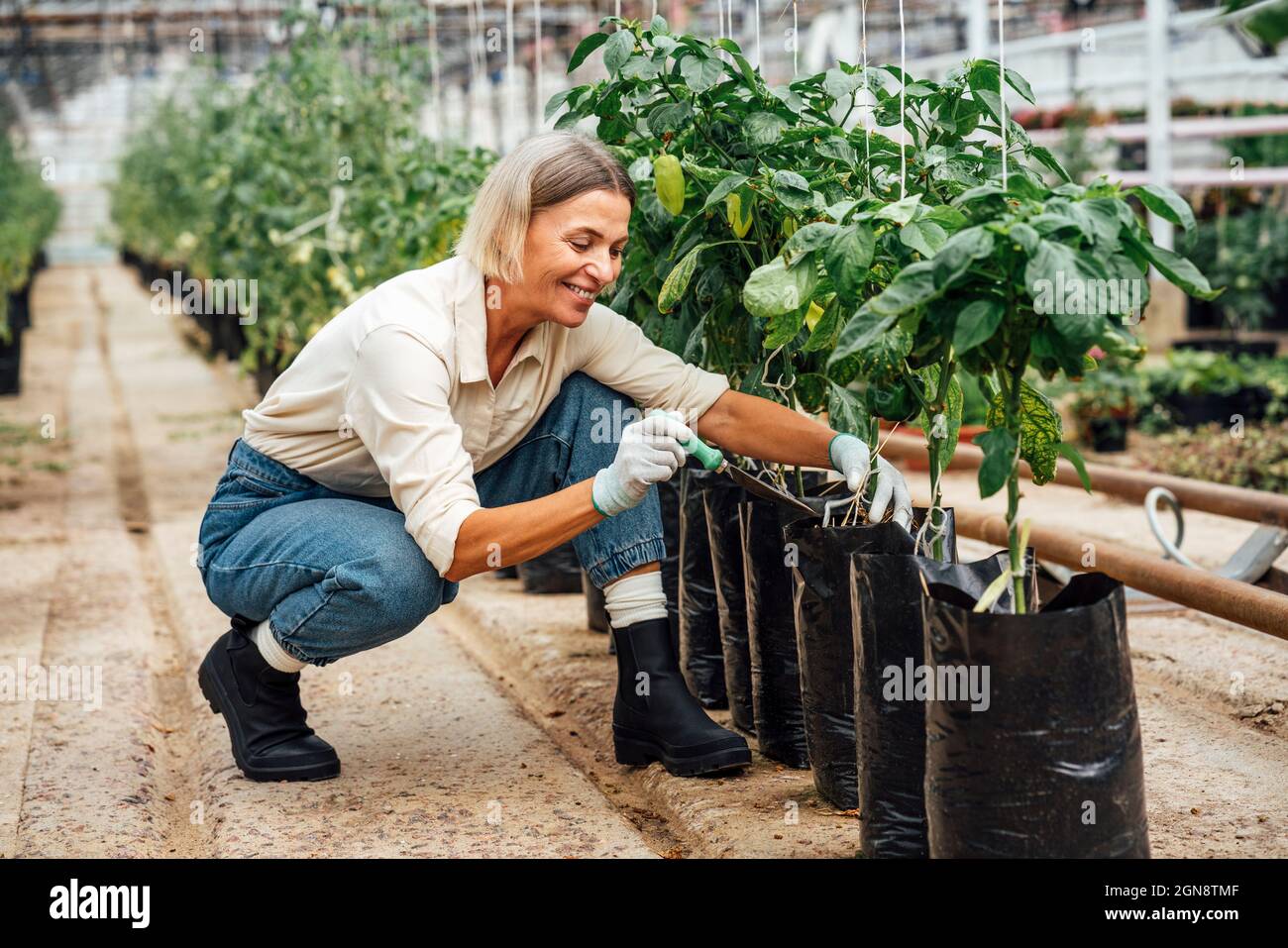 Mujer trabajadora de la agricultura sonriente con la pala llenando fertilizante en la bolsa de la planta vegetal Foto de stock