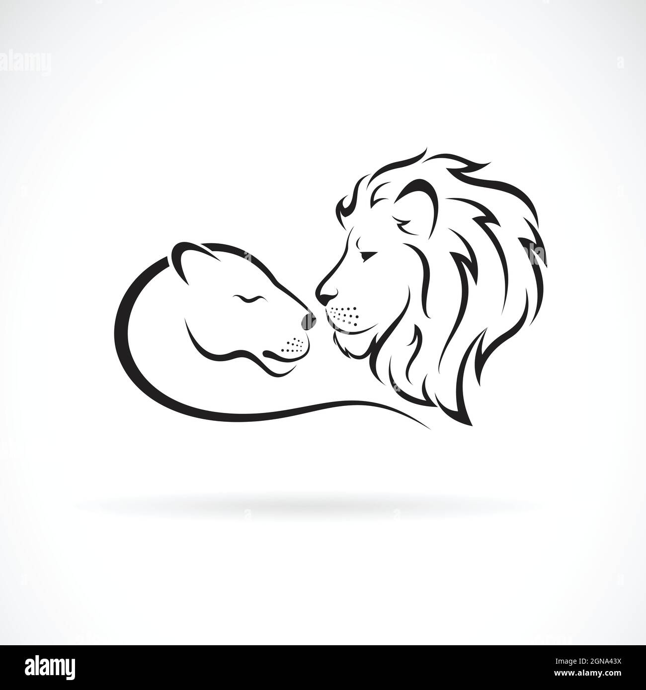 Diseño de león macho y león hembra sobre fondo blanco. Animales salvajes. Logotipo o icono de León. Ilustración de vector en capas fácil de editar. Ilustración del Vector