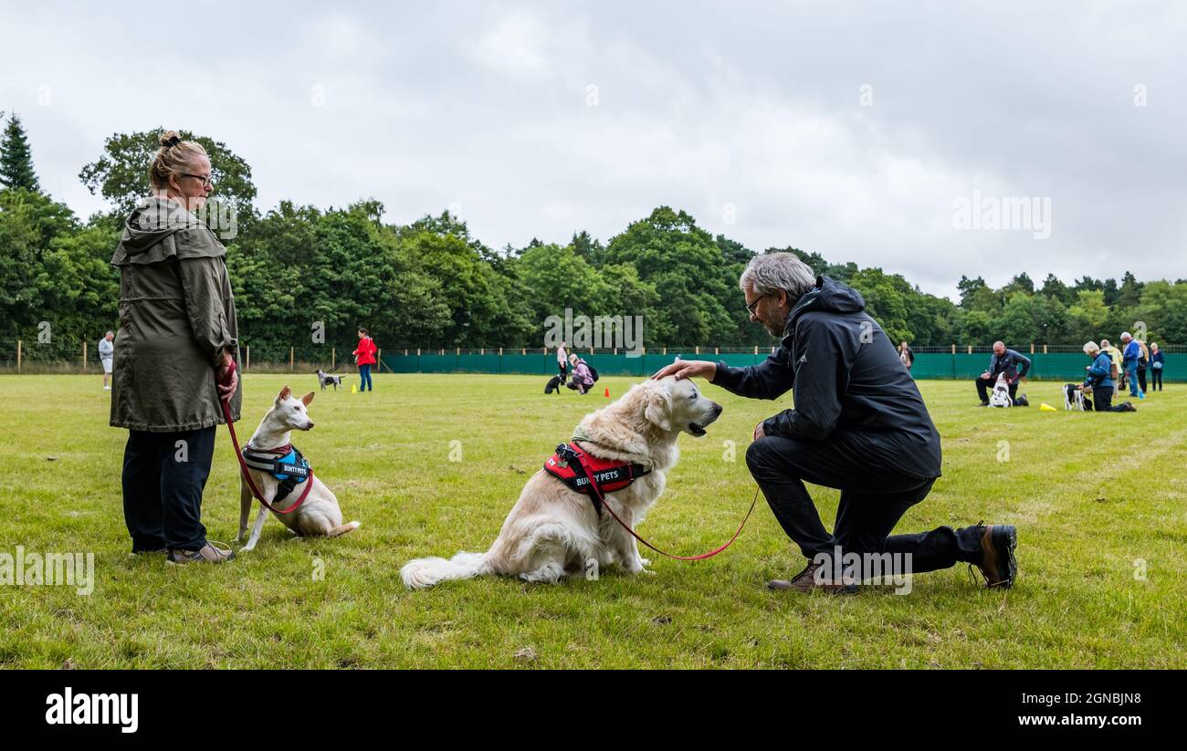 Perro de obediencia fotografías e imágenes de alta resolución Alamy