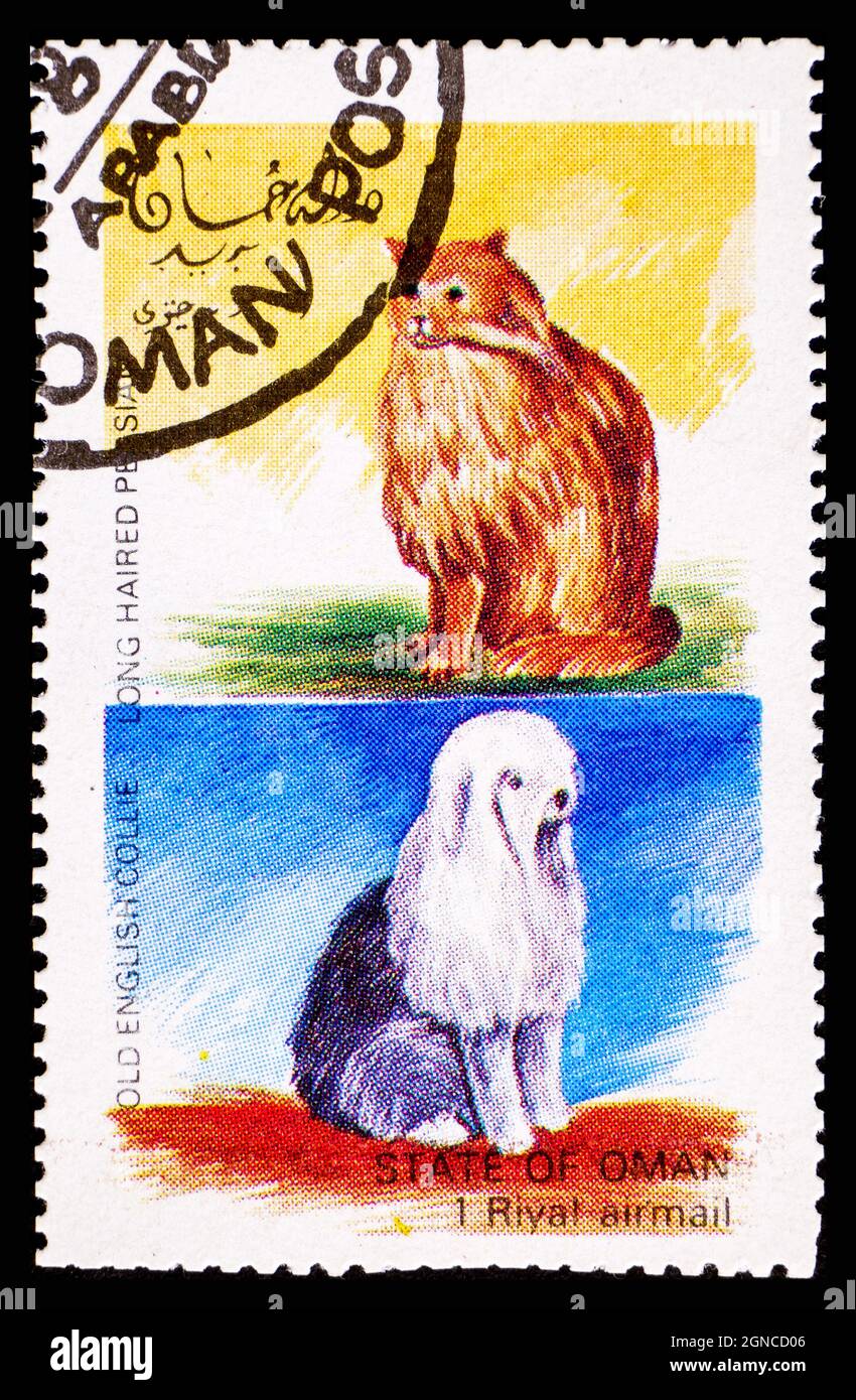 OMAN - CIRCA 1972: Un sello postal de Omán que muestra el gato persa de pelo largo y el perro collie inglés viejo Foto de stock