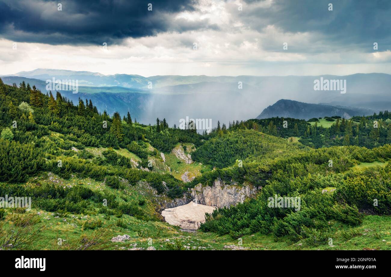 Vista sombría del cañón de Tara en verano. Escena de mordeduras verdes del Parque Nacional Durmitor, Montenegro, Europa. Hermoso mundo de los países mediterráneos. Trave Foto de stock