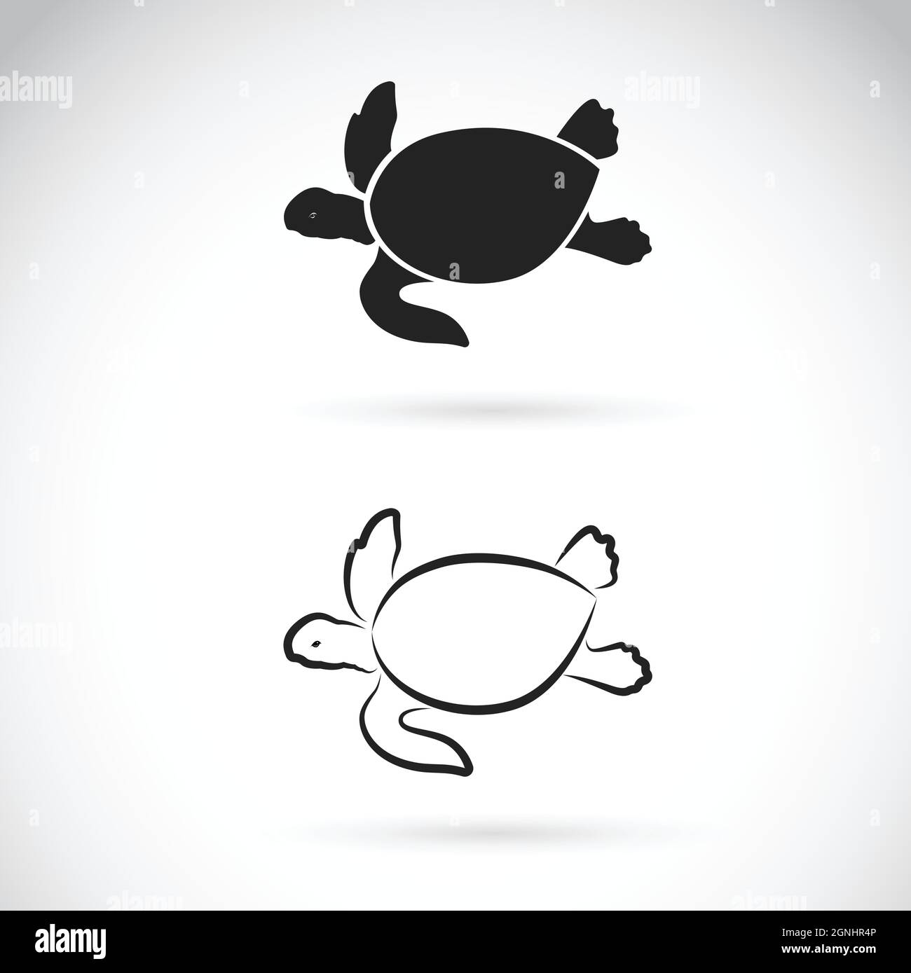 Vector de diseño de dos tortugas sobre fondo blanco. Ilustración de vector  en capas fácil de editar. Animales salvajes. Reptiles. Anfibios Imagen  Vector de stock - Alamy