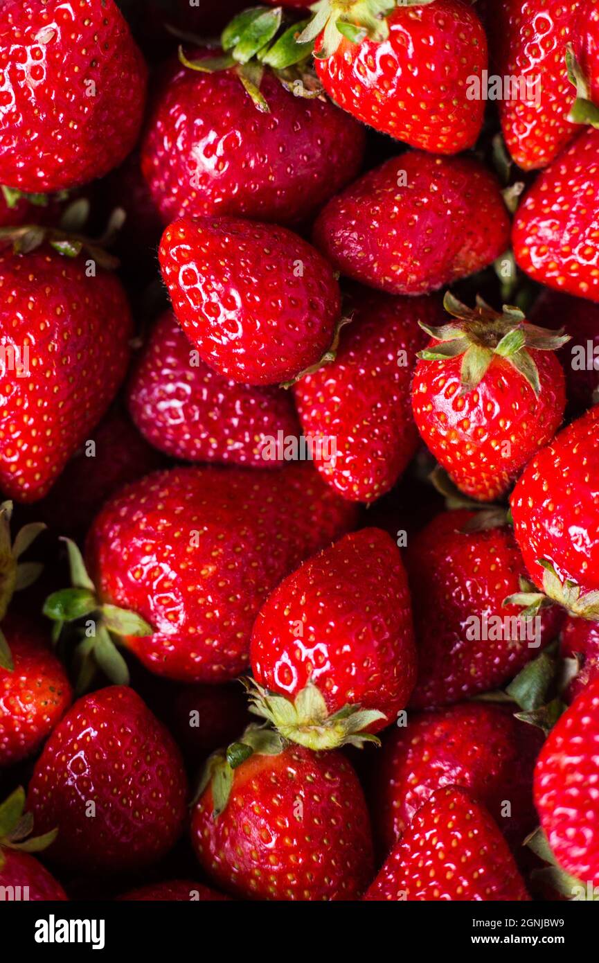 Fresa Roja Fresa. Fresas Frescas Cosechadas - Fondo De Fresas Recién  Cosechadas Fotos, retratos, imágenes y fotografía de archivo libres de  derecho. Image 86872284