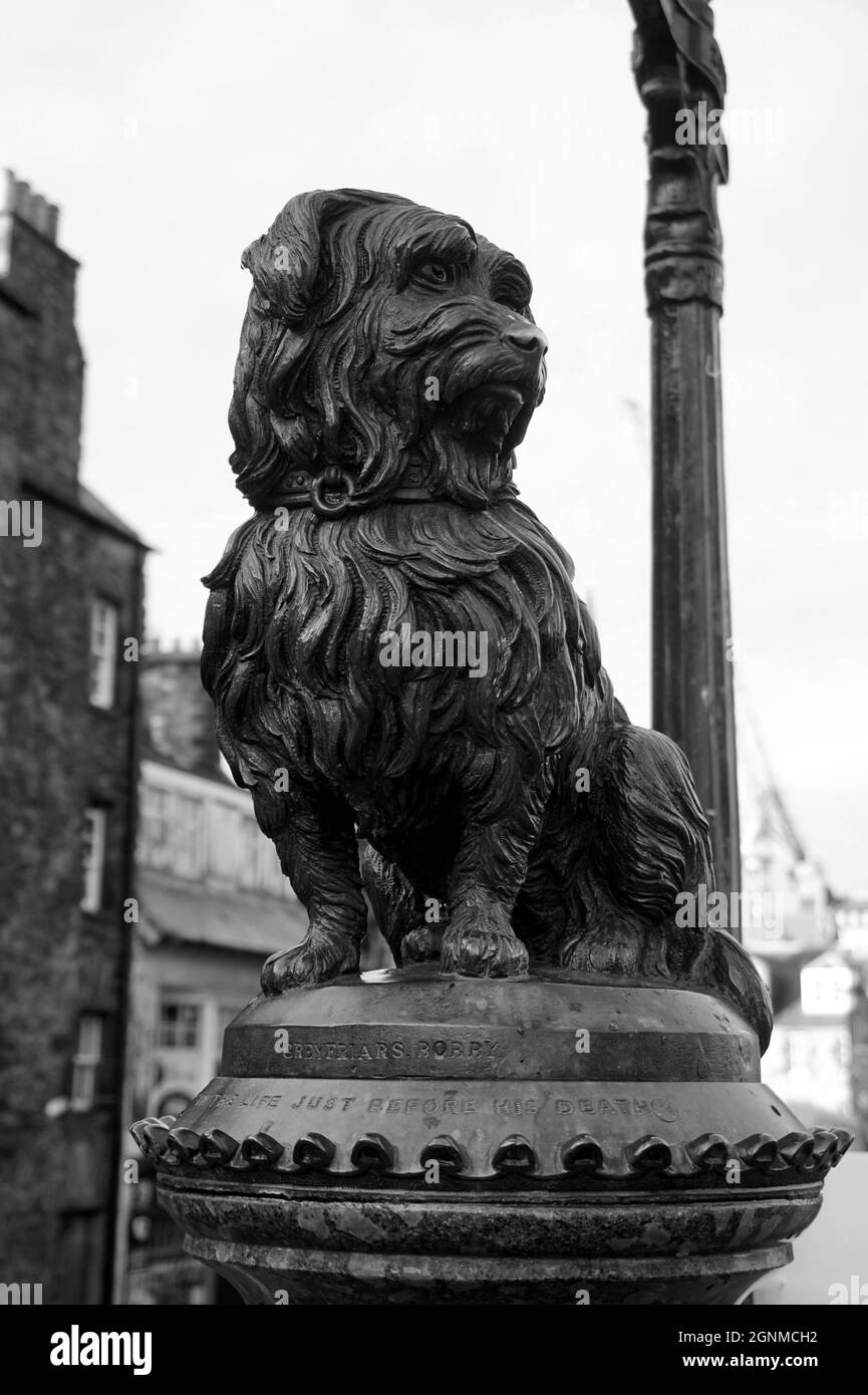 Estatua de los Grayfriars Bobby, el perro fiel Fotografía de stock - Alamy
