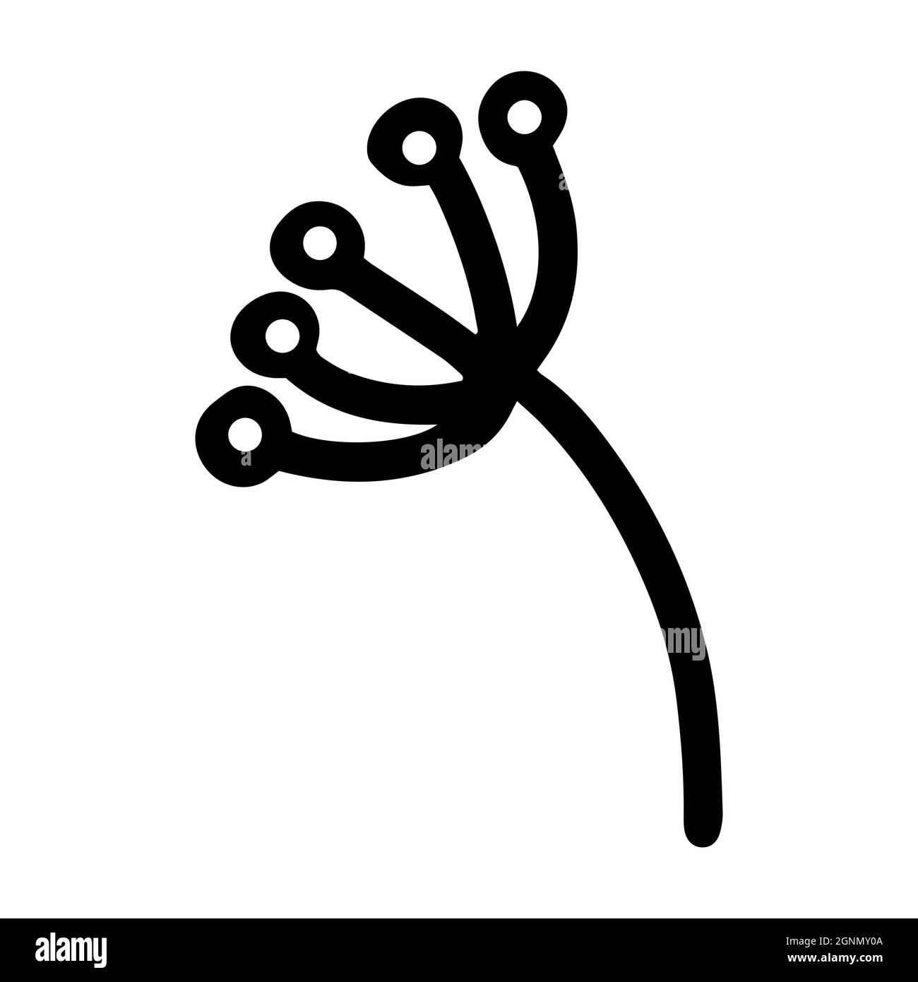 Mano dibujada negra berry Gelder planta de rosa sobre blanco fondo ilustración hermosa rama de invierno logotipo icono elemento Diseño gráfico dibujado a mano Navidad Ilustración del Vector