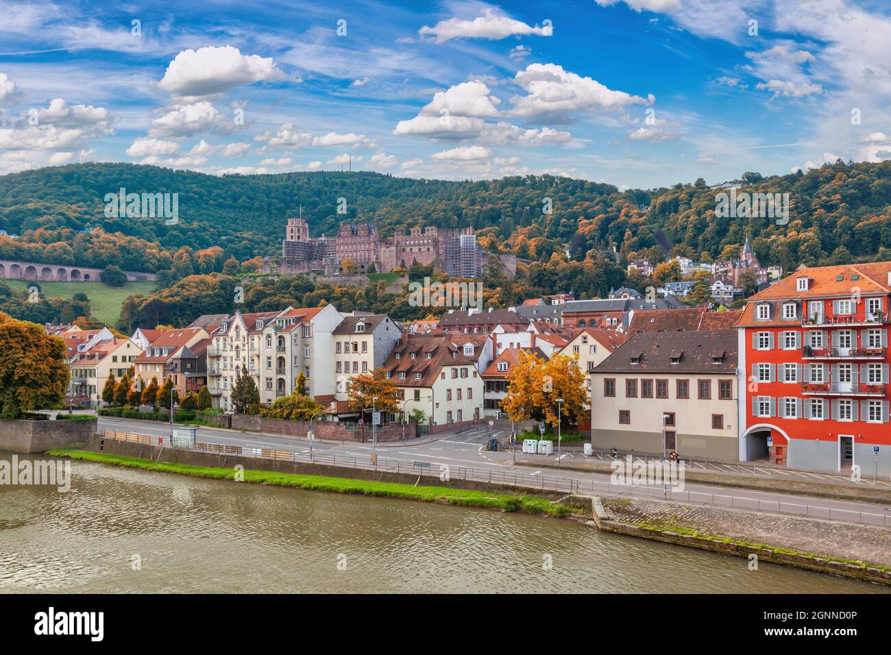 Heidelberg Alemania, el horizonte de la ciudad en el Palacio de Heidelberg y el río Neckar con la temporada de follaje otoñal Foto de stock