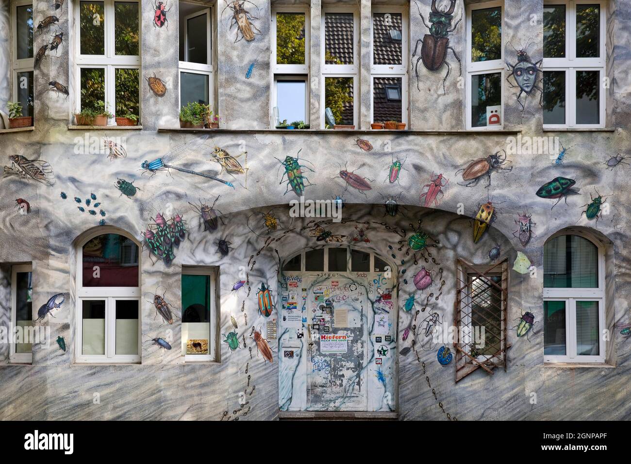 Kiefernstrasse, carretera residencial de la cultura alternativa con arte  callejero en los revestimientos, Alemania, Renania del Norte-Westfalia,  Baja Rin Fotografía de stock - Alamy