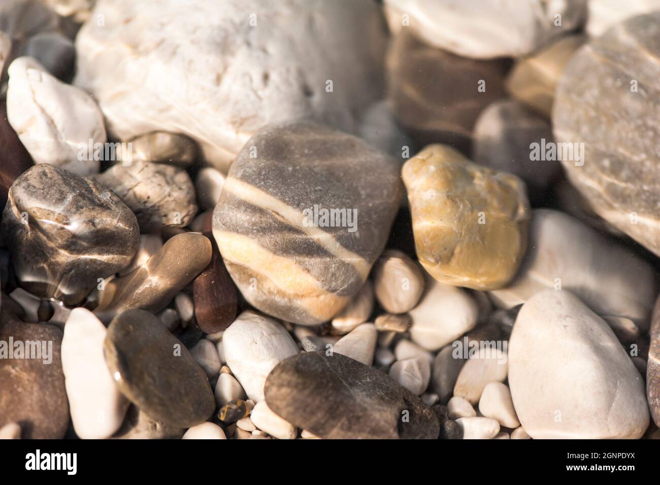 Piedras de río submarinas en una imagen de cerca Foto de stock