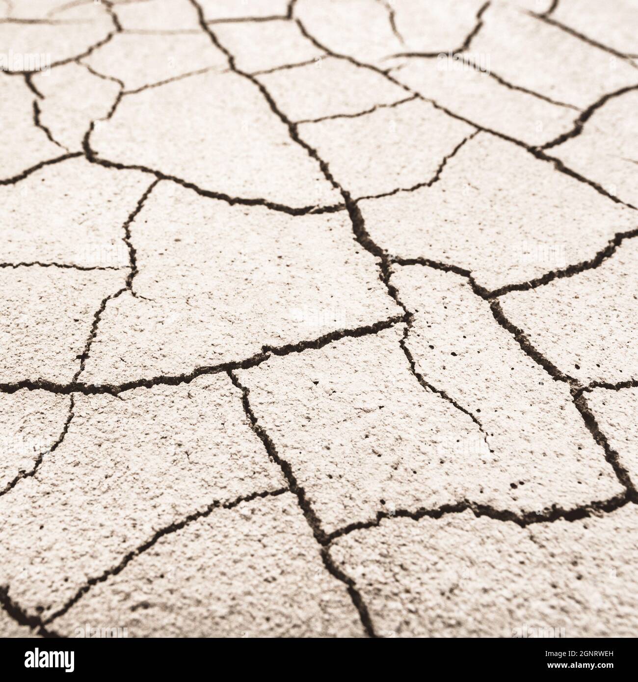 El disparo cerrado agrietó la tierra seca. Para la crisis del agua, sequía del Reino Unido, tierra seca, pérdida de cultivos, ola de calor europea / estadounidense, verano caliente, aridificación, hundimiento. Foto de stock