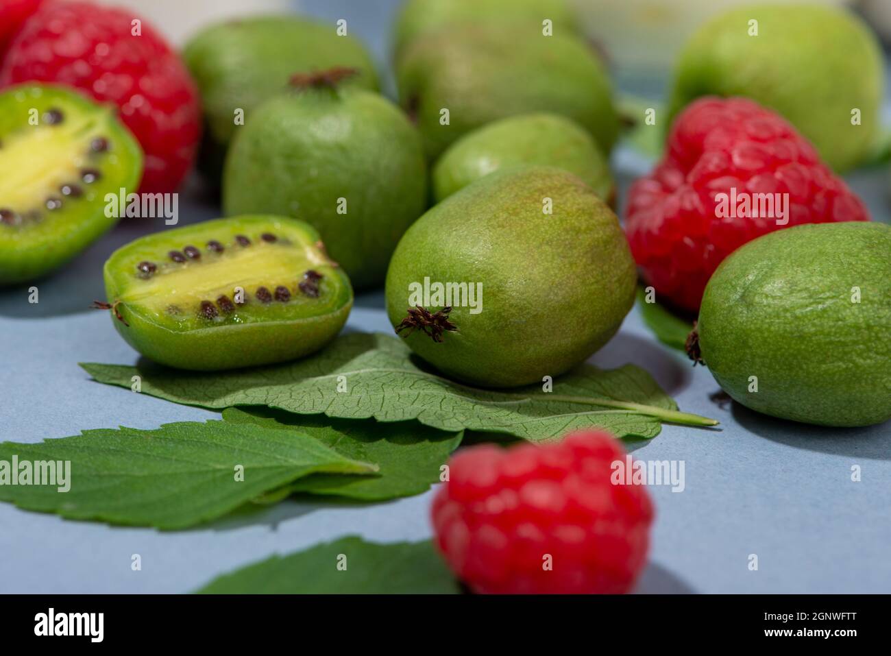 Fruto de actinidia arruta, frutos de kiwi, frambuesas y hojas de menta de cerca. Foto de stock