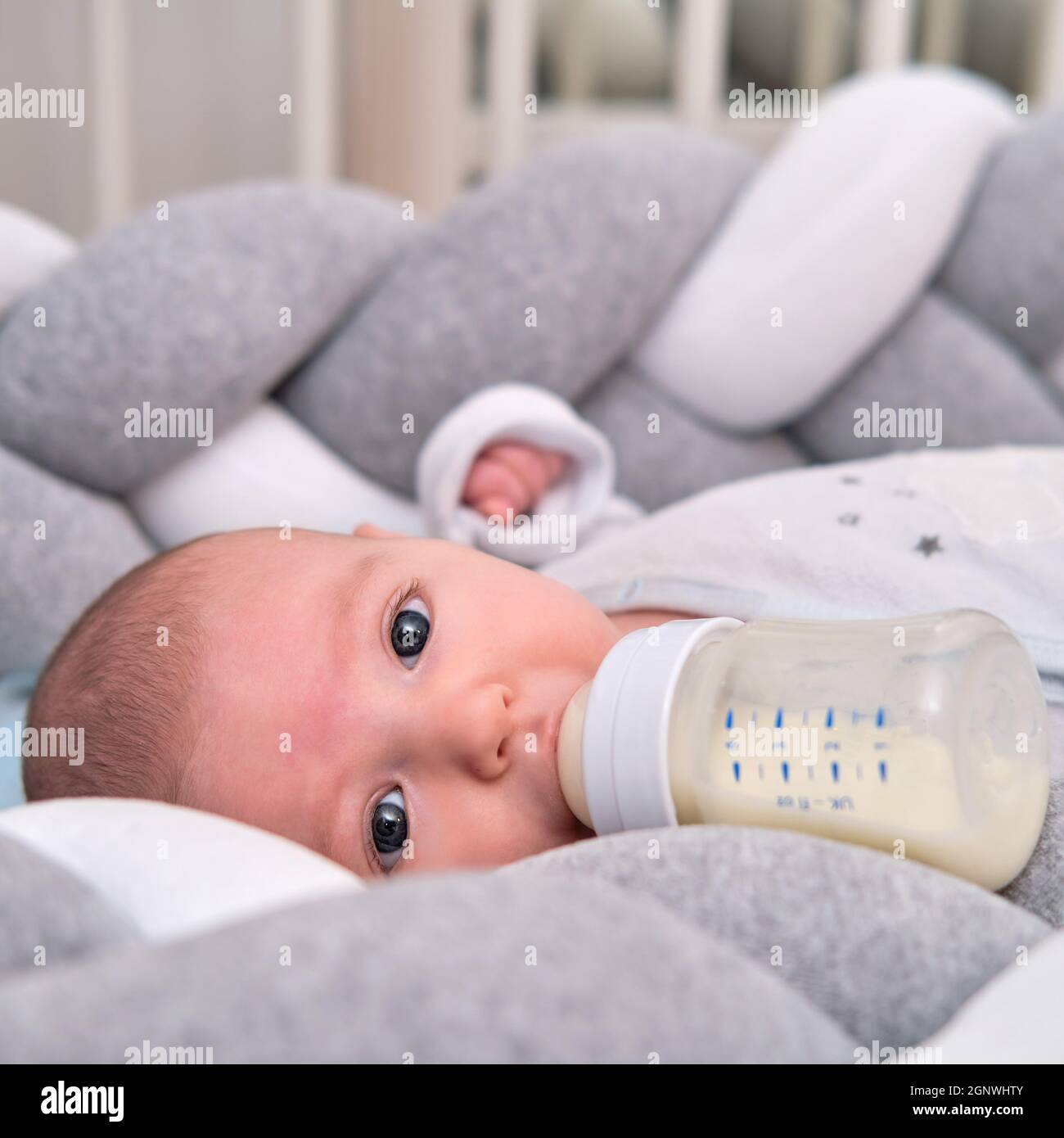 Un bebé recién nacido come la fórmula de un biberón por sí mismo sin la  ayuda de las manos. Un niño bebe la mezcla de leche de una botella tumbada  en la