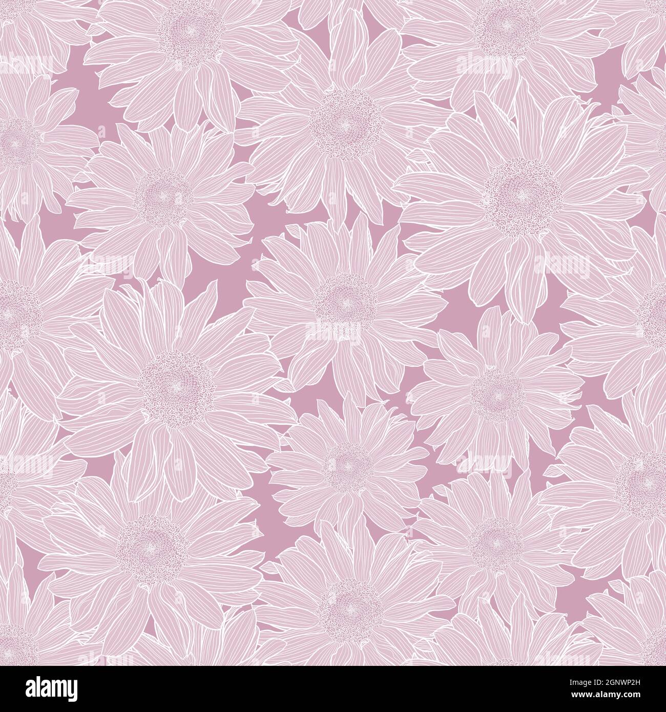 Patrón vectorial sin costuras de flores de manzanilla en colores pastel  lila claro con contorno blanco. Estampado decorativo para papel tapiz,  envoltorio, tela, tela de moda u otras cubiertas imprimibles Imagen Vector