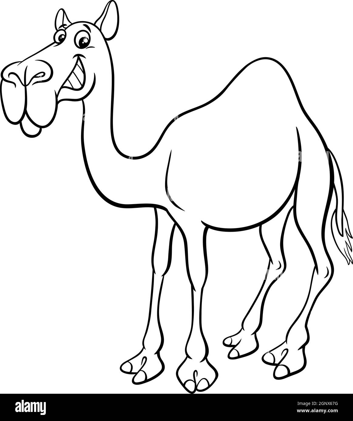página de libro de coloreado de personaje animal de dibujos animados de camello dromedario Ilustración del Vector