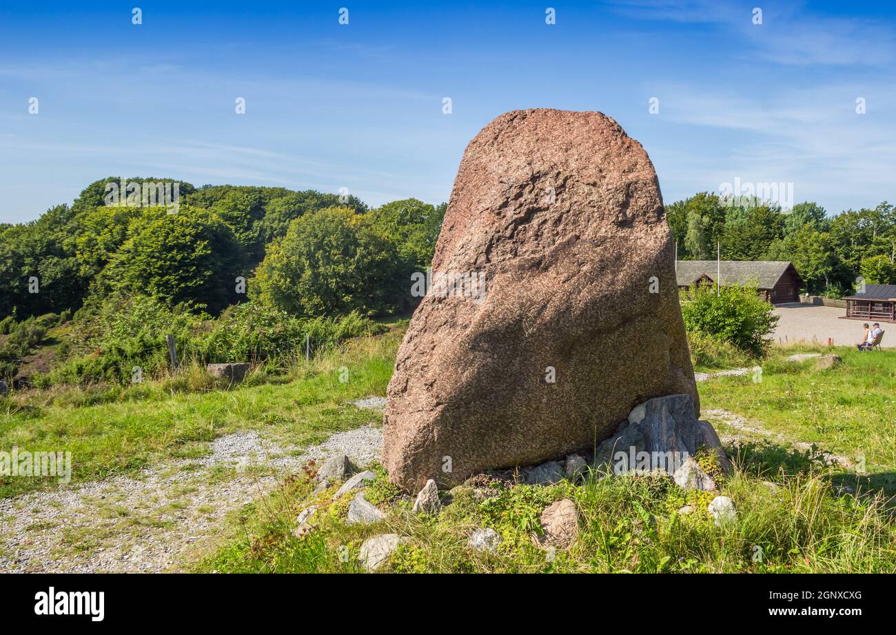 Gran roca glacial llamada Cimbrerstenen en el Parque Nacional de Rebild Bakker, Dinamarca Foto de stock