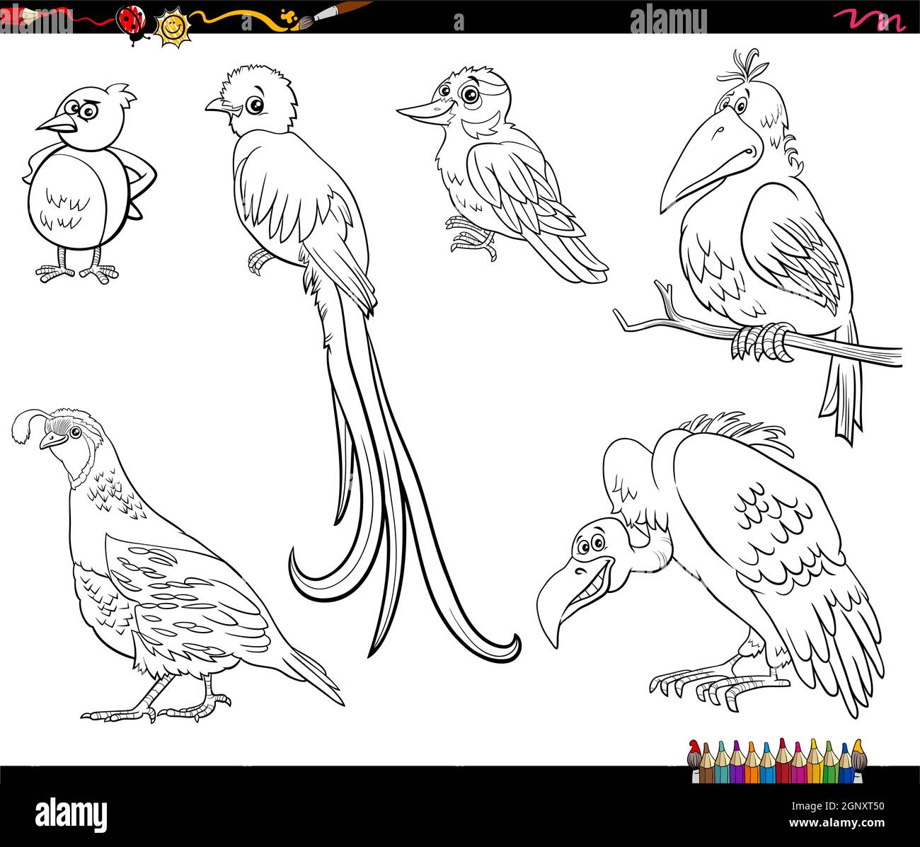 dibujos animados pájaros animales personajes establecer para colorear la  página del libro Imagen Vector de stock - Alamy