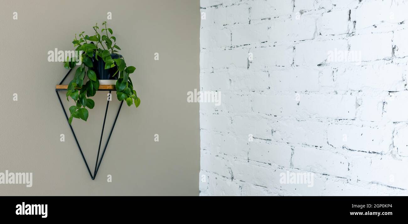 decoración del hogar - moderno soporte para macetas colgando en la pared. espacio para copias Foto de stock