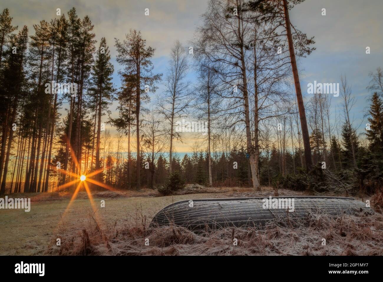 Barco, pasto y árboles con hielo y nieve en un bosque , invierno, paisaje de montaña con sun flare Foto de stock