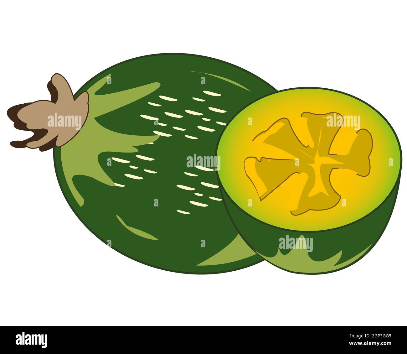 Ilustración vectorial fruta y pulpas exóticas maduras de feijoa Foto de stock