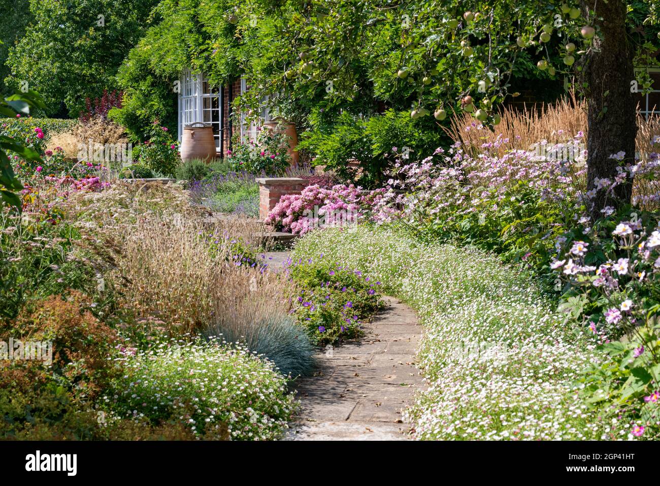 Escena de verano pacífica en un jardín de campo inglés con un camino bordeado de macizos de flores Foto de stock