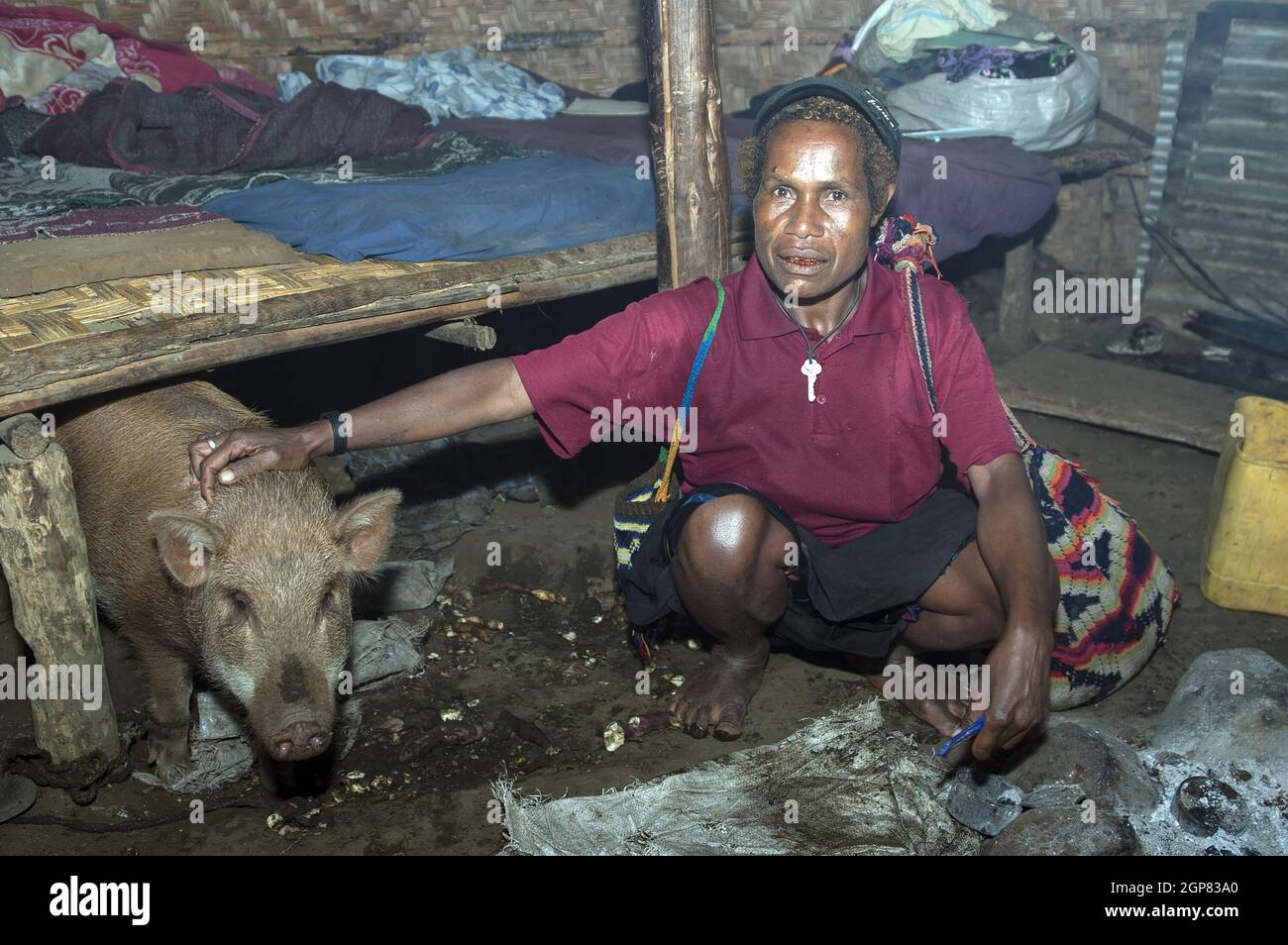 Papua Nueva Guinea; Goroka; La Estación Misionera Católica de Namta dirigida por los Misioneros de la Sagrada Familia. Mujer papuana con un cerdo en una choza. Foto de stock