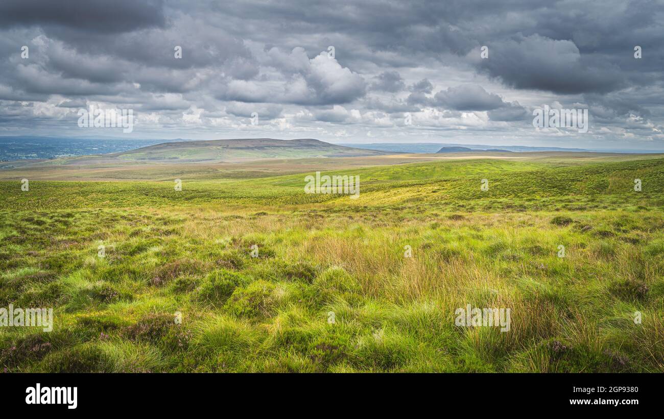 Verde pradera y pasto con hierba larga, helechos y brezo en el Parque de la Montaña Cuilcagh, tormentoso, espectacular cielo en el fondo, Irlanda del Norte Foto de stock