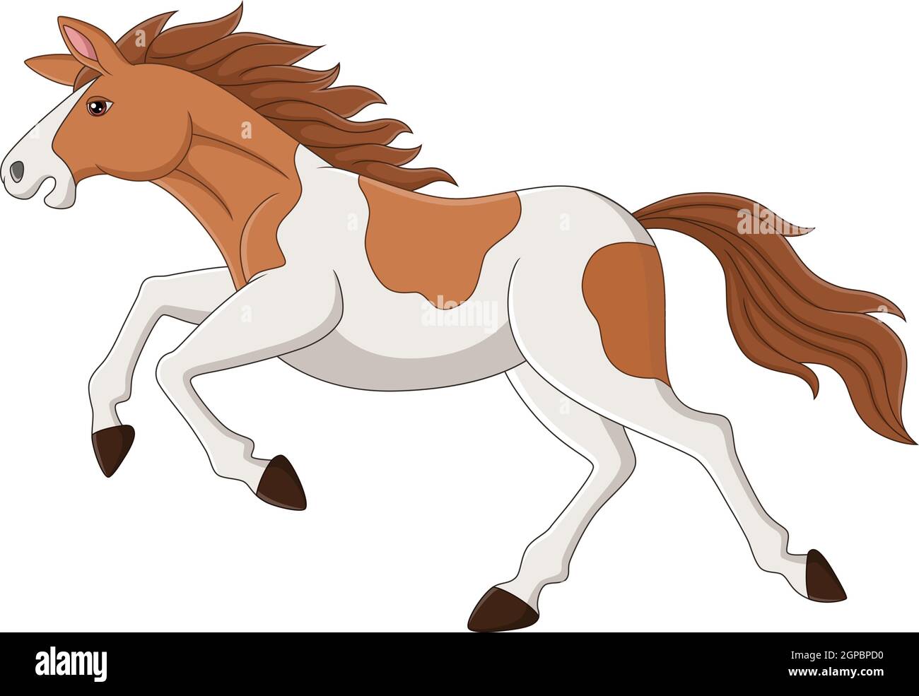 Carrera de caballos de color marrón y blanco Imagen Vector de stock - Alamy