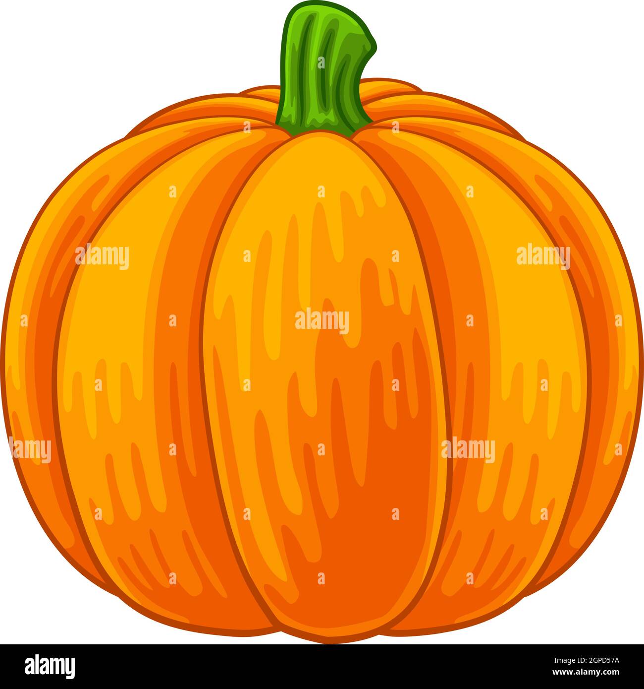 Dibujo de alimentos de dibujos de verduras de calabaza Imagen Vector de  stock - Alamy