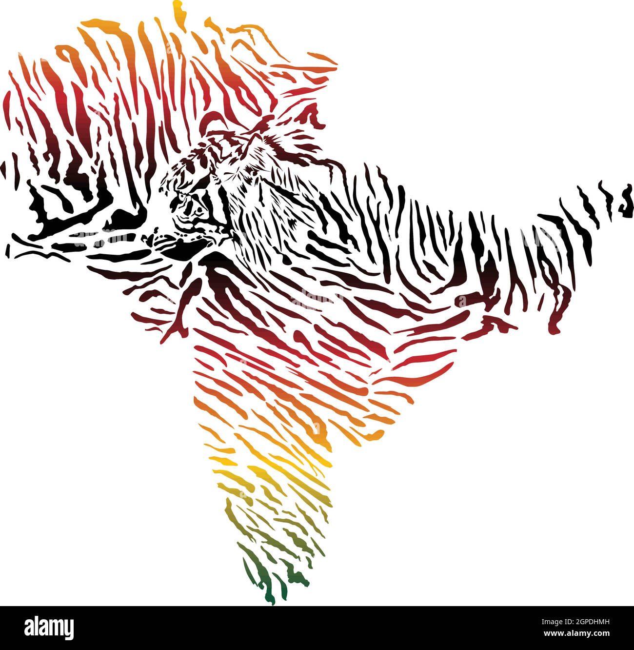 Mapa de color del subcontinente indio con fondo de tigre Ilustración del Vector