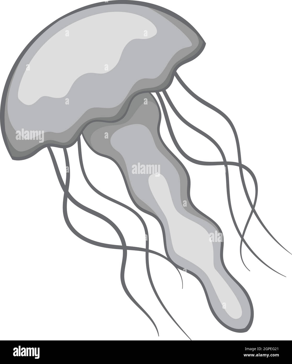 Medusas de agua dulce Imágenes recortadas de stock - Alamy