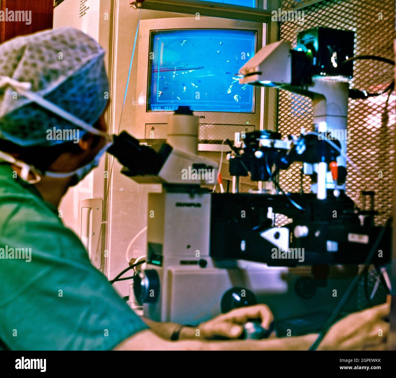 Un técnico de una clínica especializada en FIV prepara muestras de esperma para su selección. Foto de stock