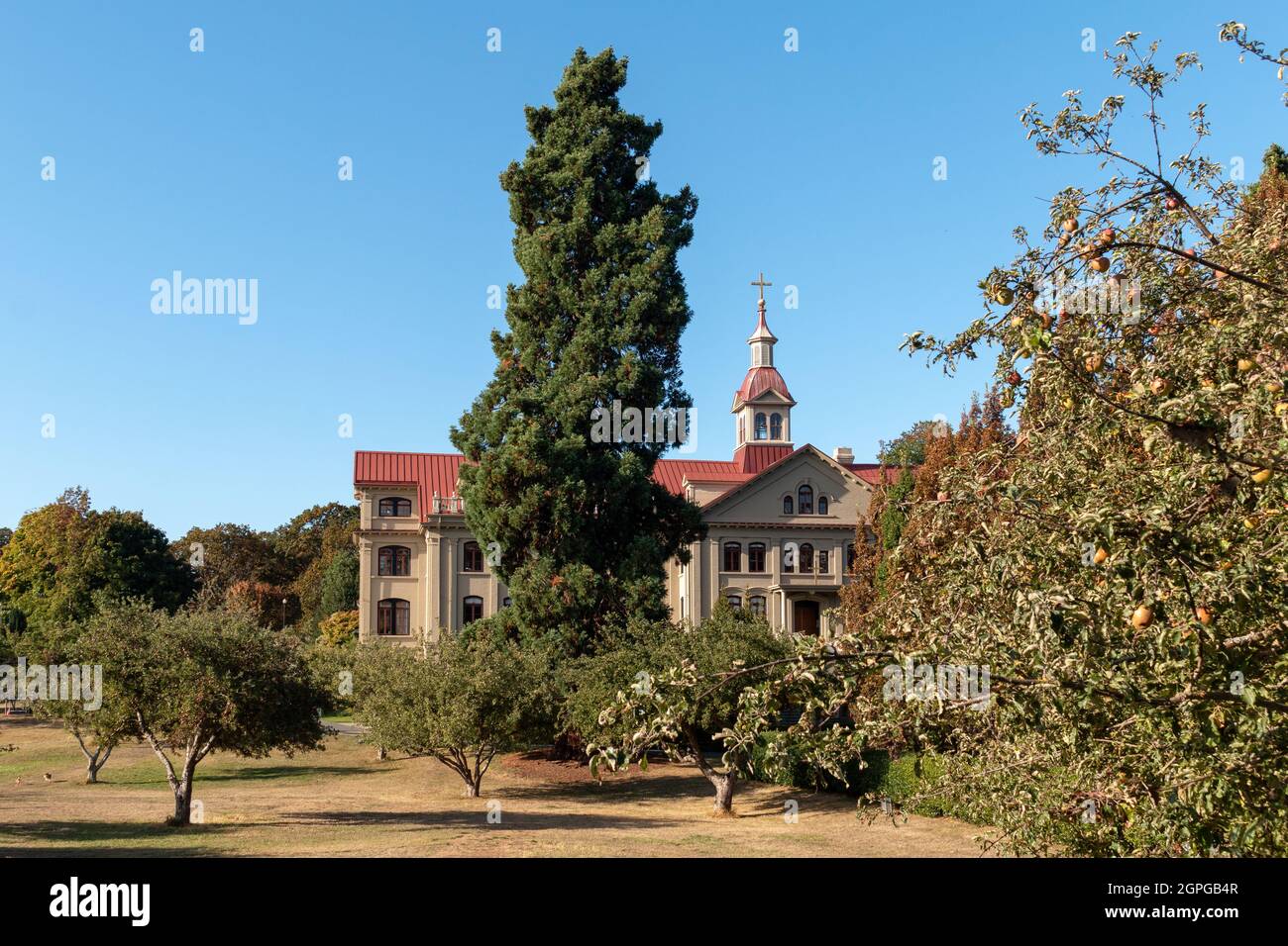 Academia de St. Ann, vista del huerto de manzanas en otoño Foto de stock