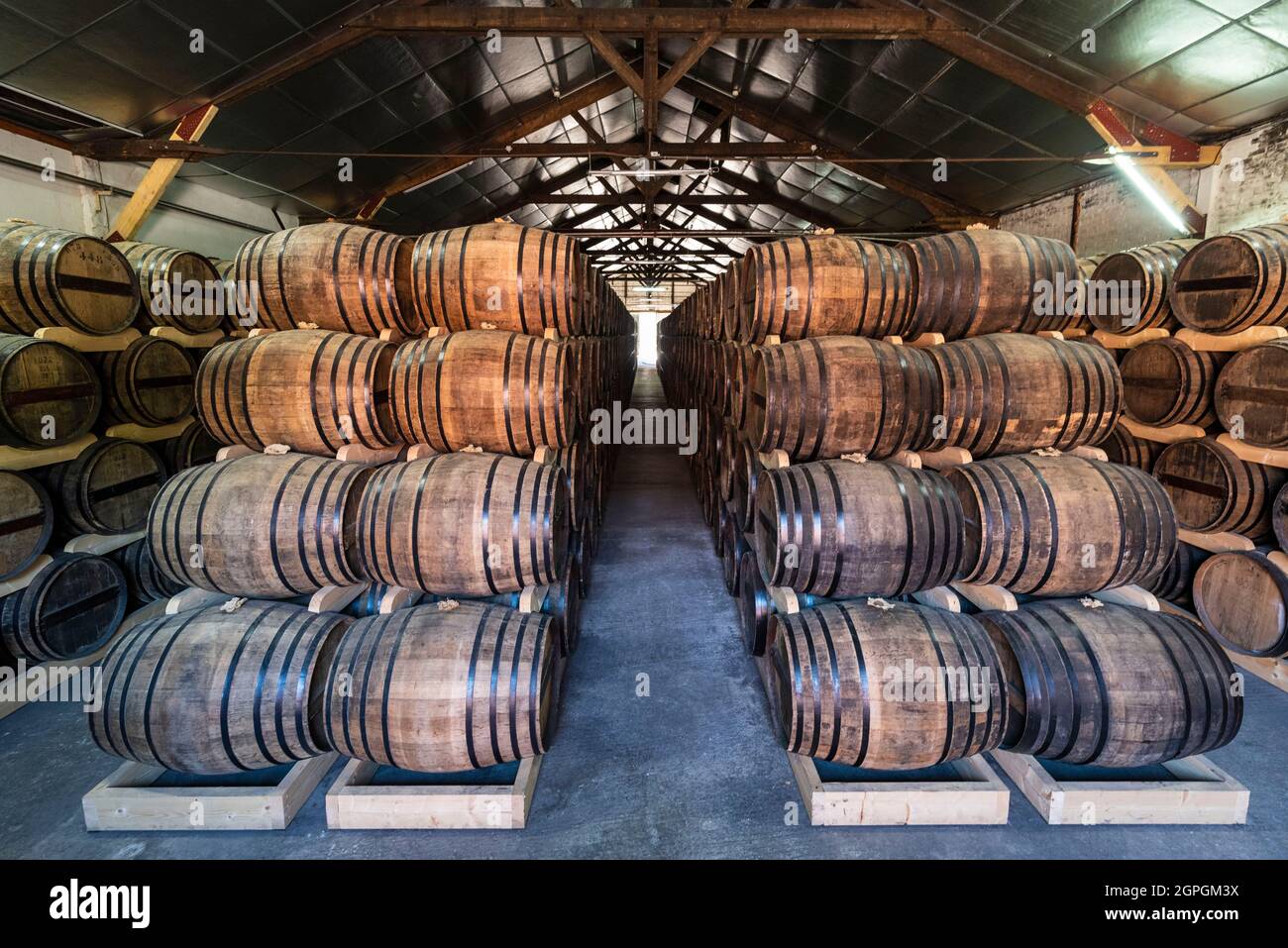 Francia, Eure, Cormeilles, destilería de Busnel, las bodegas Foto de stock