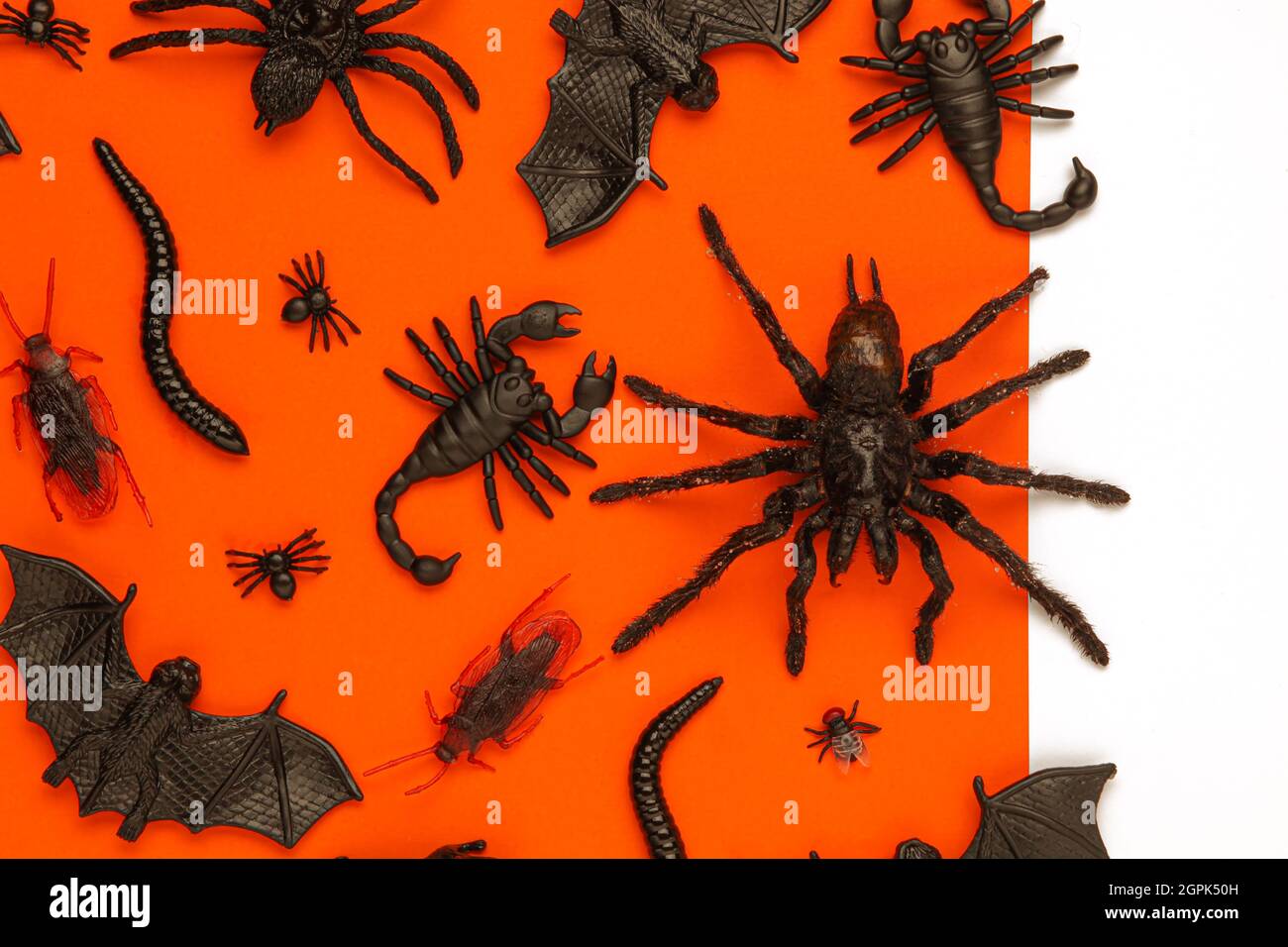 Negro Halloween crujidos bichos y arañas sobre fondo naranja con espacio blanco para texto o imagen Foto de stock
