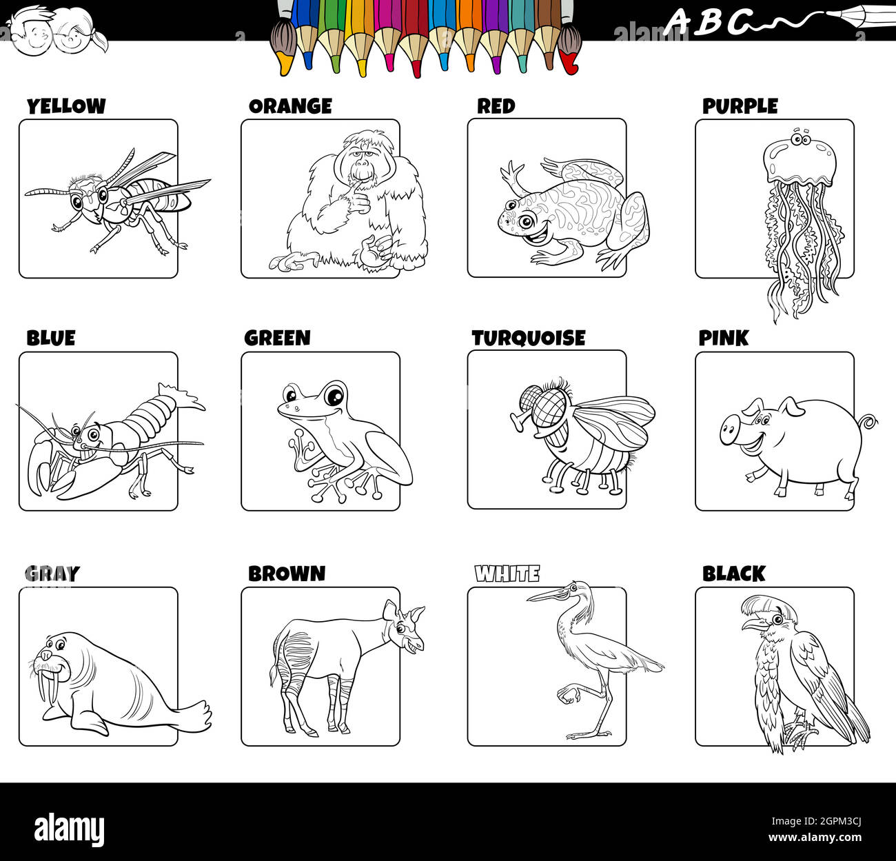 Colour animal animals collection cartoon fotografías e imágenes de alta  resolución - Alamy