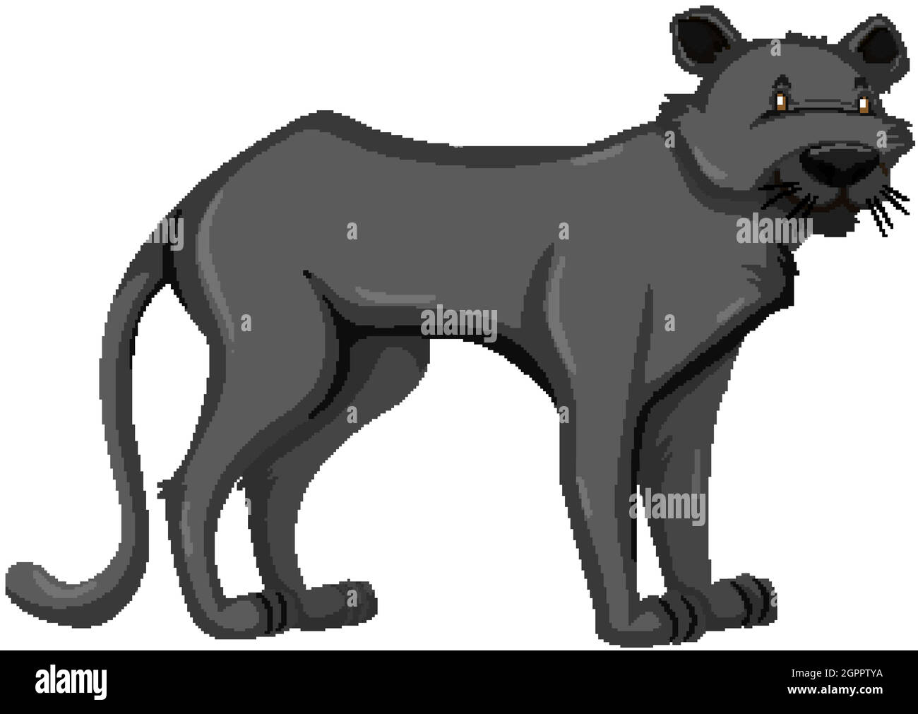 Pantera negra animal salvaje sobre fondo blanco Imagen Vector de stock -  Alamy