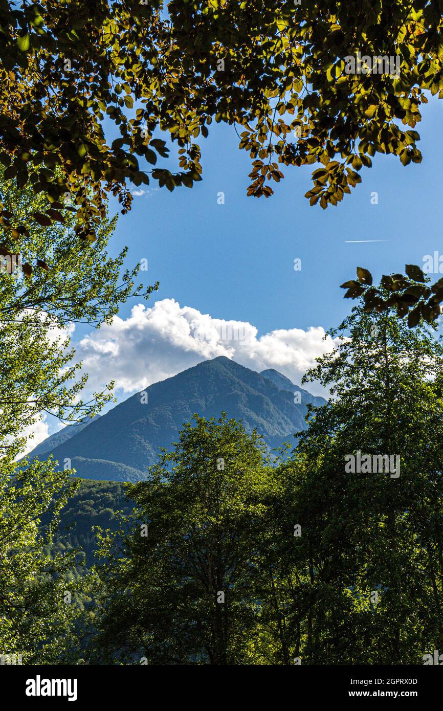 Ángulo de visión baja de los árboles y las montañas contra el cielo Foto de stock