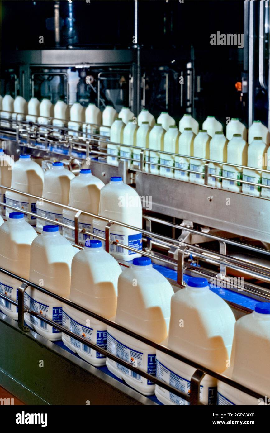 Planta de procesamiento de leche. Foto de stock