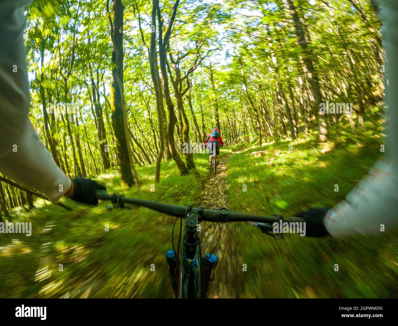 GoPro Vista en Primera Persona Siguiendo a una Mujer Bicicleta de Montaña  en el sendero del Bosque, Vipava, Eslovenia Fotografía de stock - Alamy