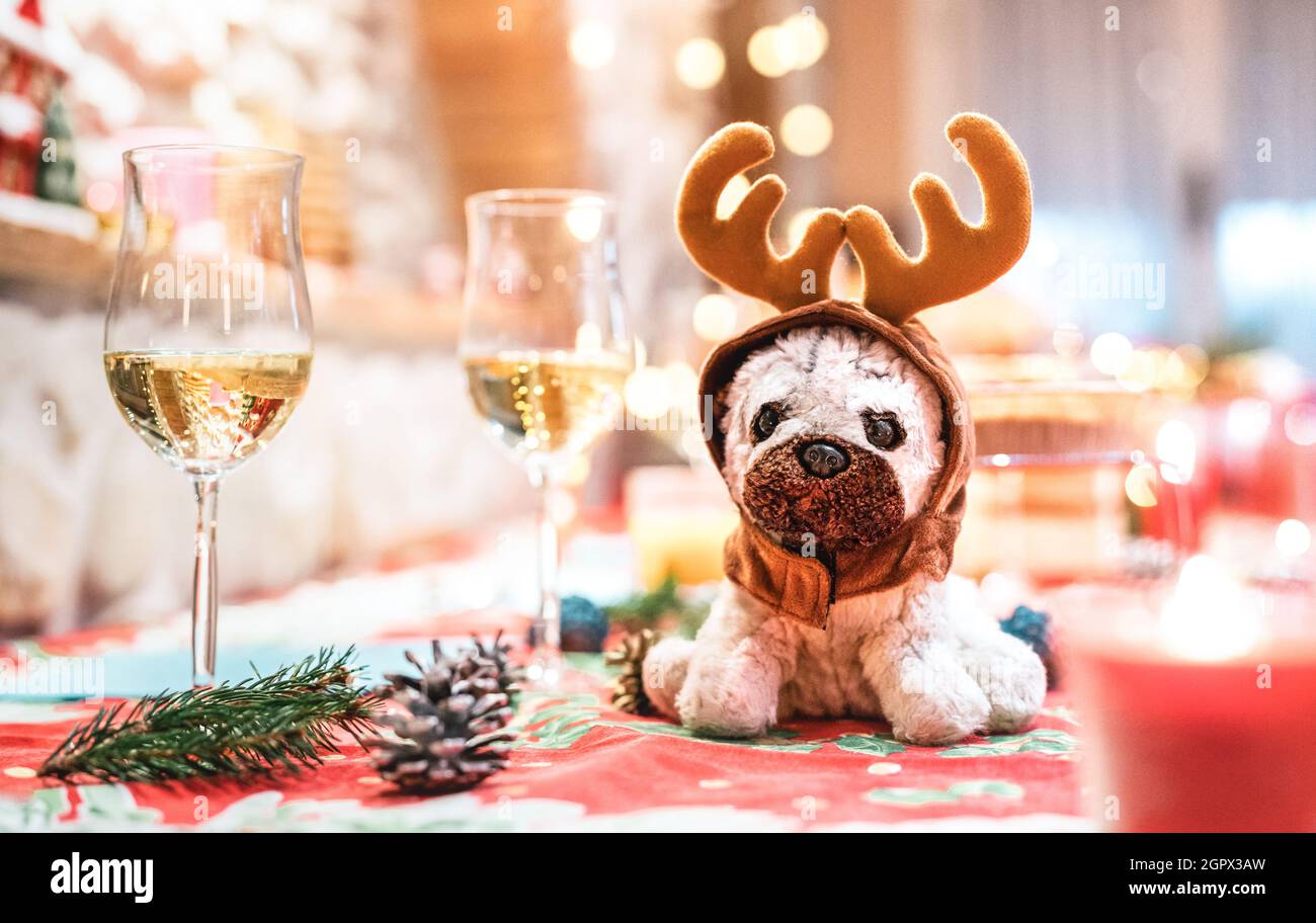 Juguete de perro relleno con orejas de reno sentado sobre la mesa cerca de copas de champán en el fondo de las vacaciones de Navidad - festividad de invierno y concepto de diversión Foto de stock