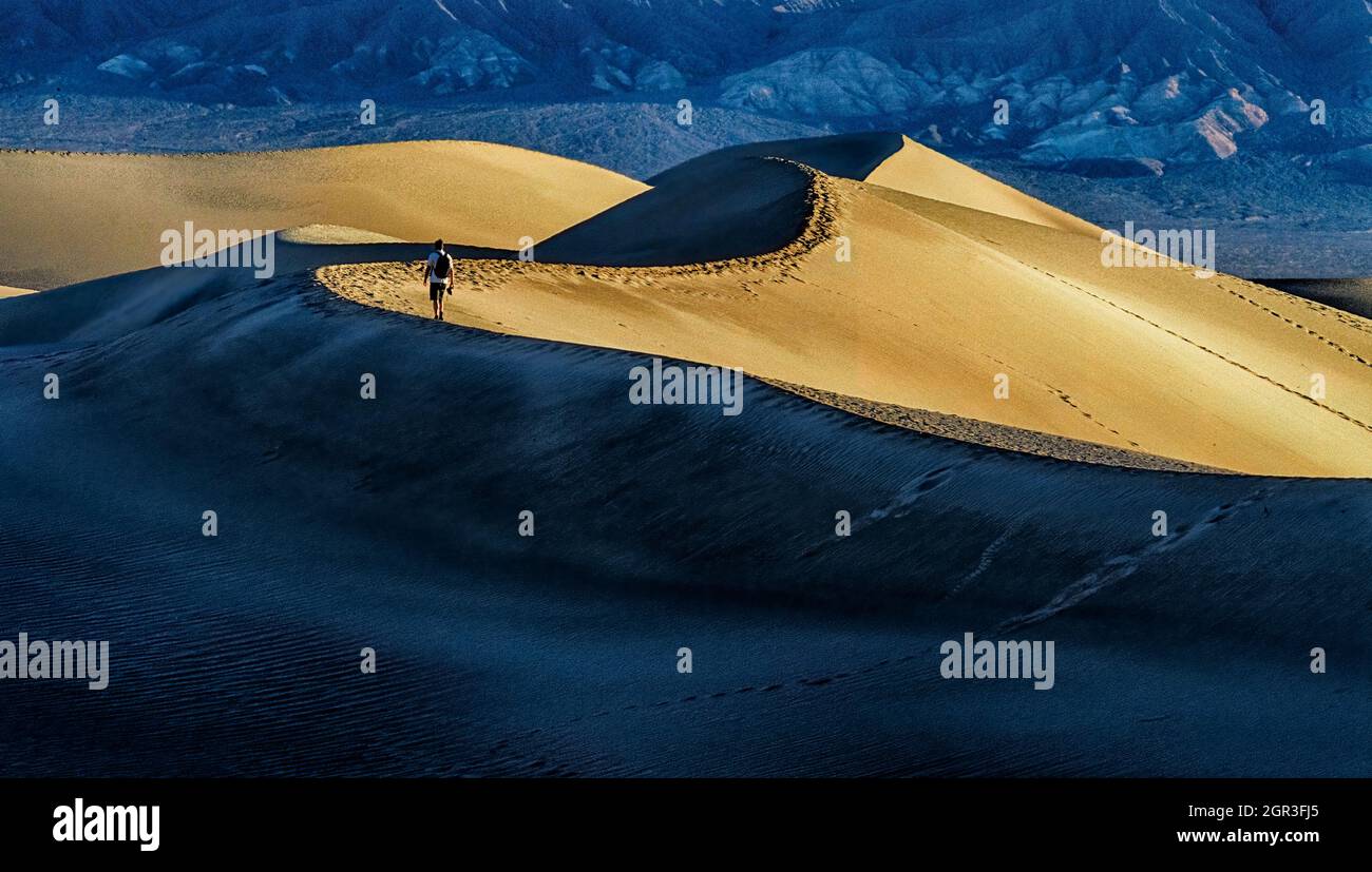 Fotógrafo senderismo a lo largo de la cresta de una duna de arena en la zona de dunas de arena de los mesquite planos del Parque Nacional del Valle de la Muerte Foto de stock