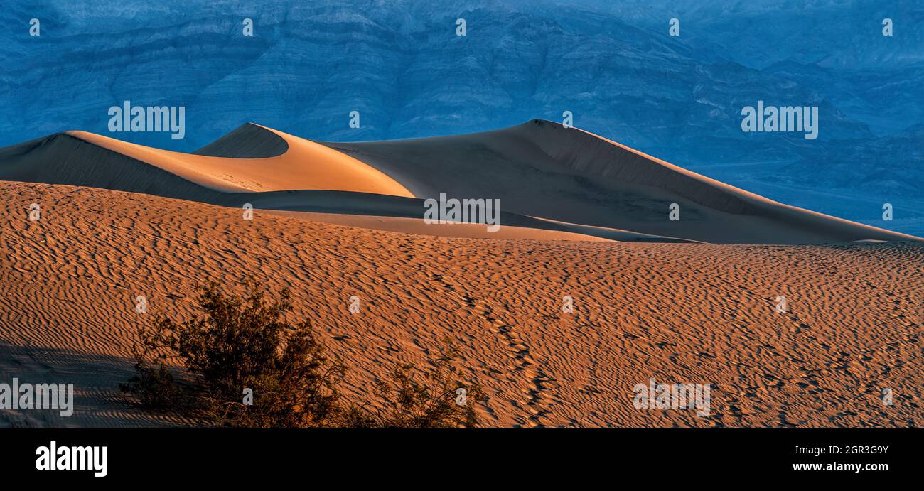 Dunas de arena Mesquite al amanecer en el Parque Nacional del Valle de la Muerte Foto de stock