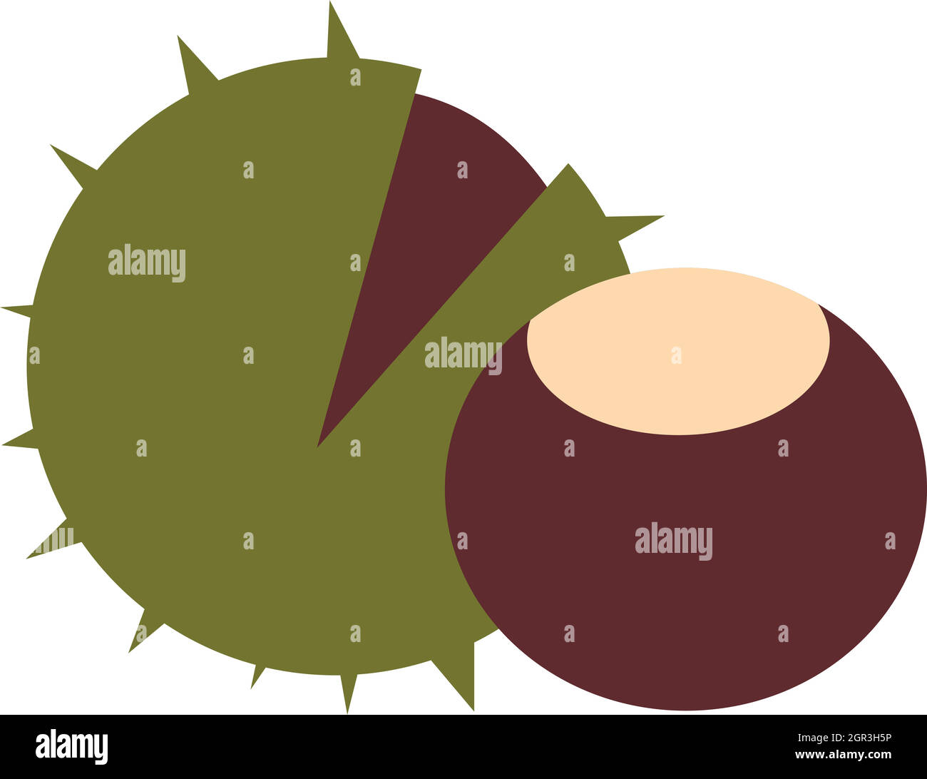 Arbol de castaño Imágenes vectoriales de stock Alamy