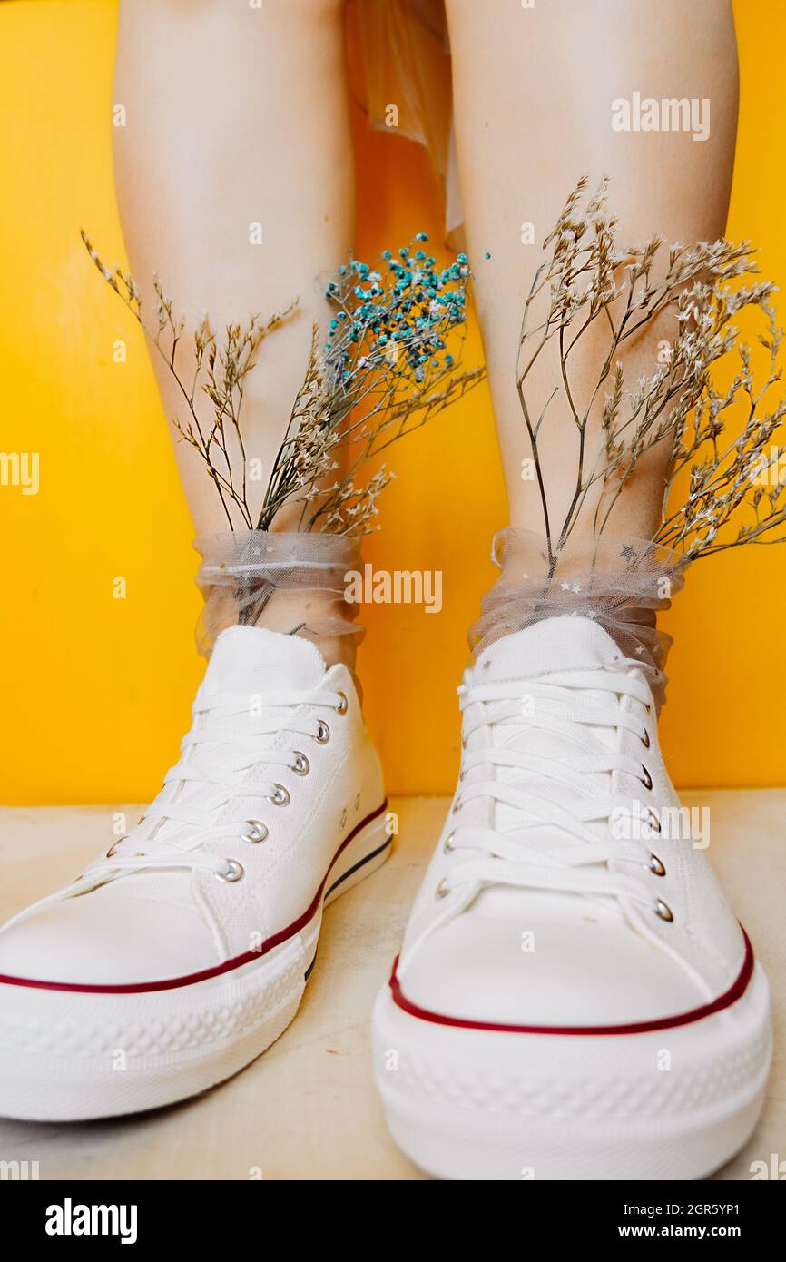 Zapatillas blancas para las piernas de mujer, calcetines delgados  transparentes con estrellas plateadas y flores secas Fotografía de stock -  Alamy