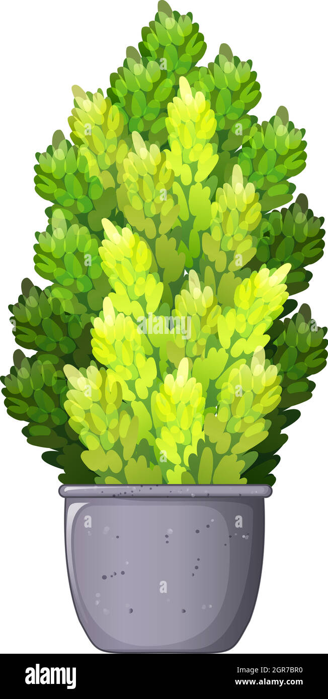 Un hogar decorativo Ilustración del Vector
