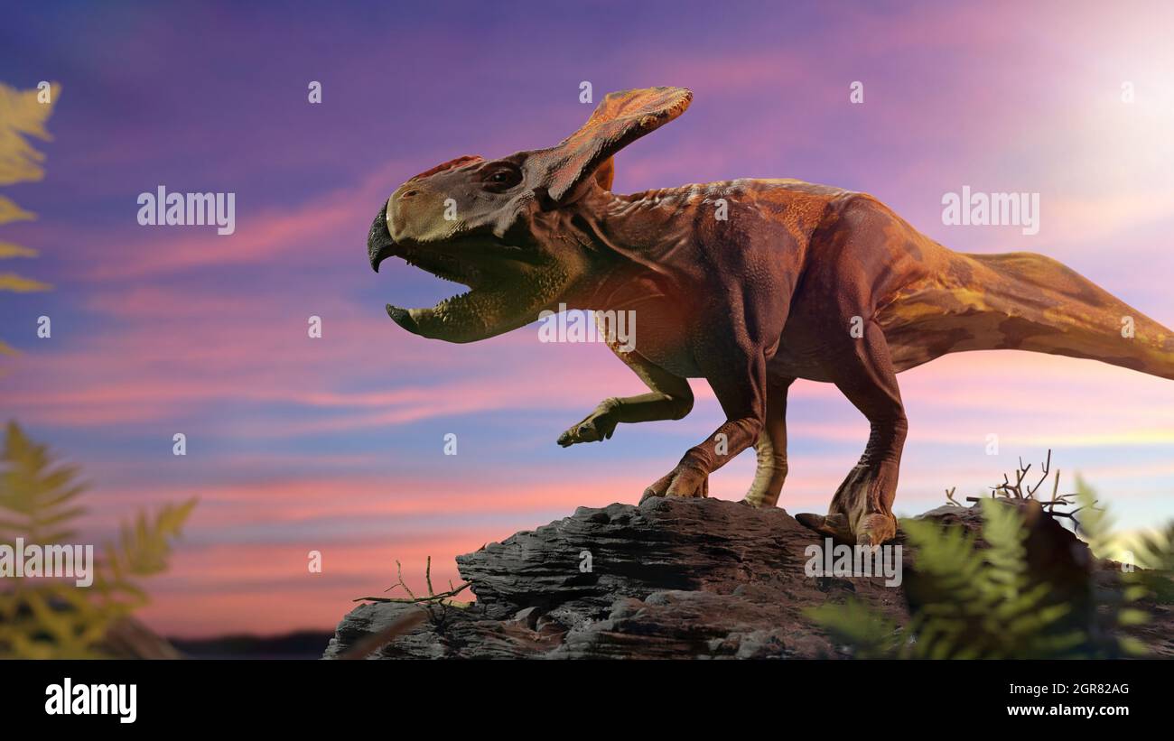 Protoceratops Dinosaurio Del Período Cretácico Tardío 3d Representaciones Paleoart Fotografía 7722