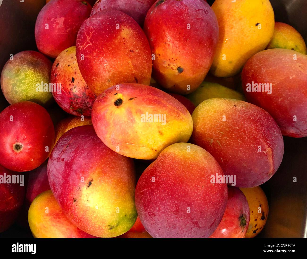 Florida mangos fotografías e imágenes de alta resolución Alamy