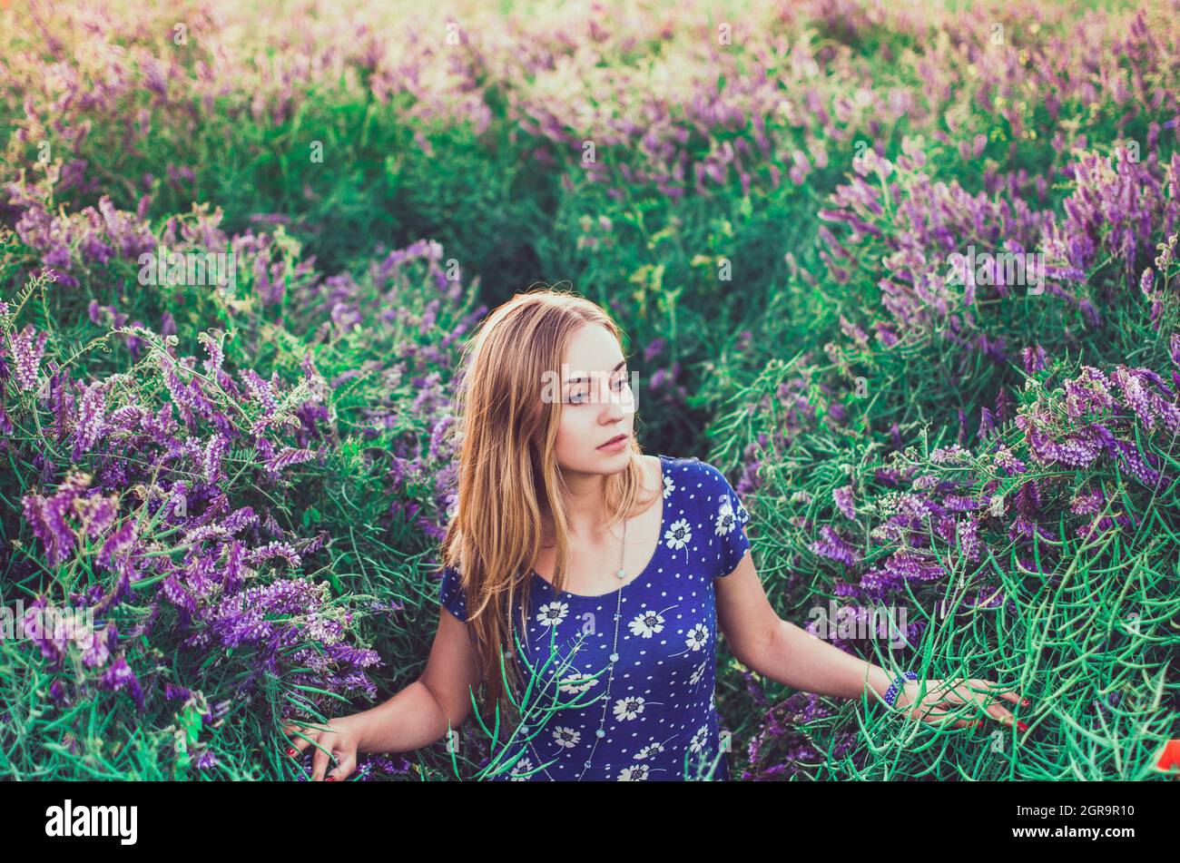 Chica delgada camina sobre hierba alta con flores moradas. Vestido azul  para mujer con estampado de margaritas blanco Fotografía de stock - Alamy